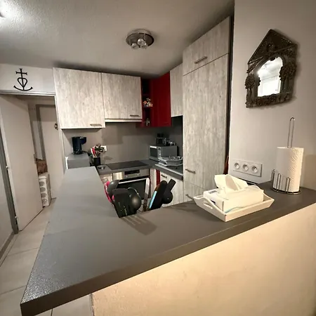 Bel A Port Camargue 2 8 Lits Apartment